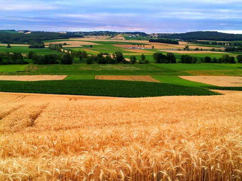 urlaub burgenland