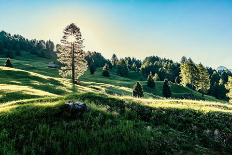 Bauernhofurlaub in den Dolomiten