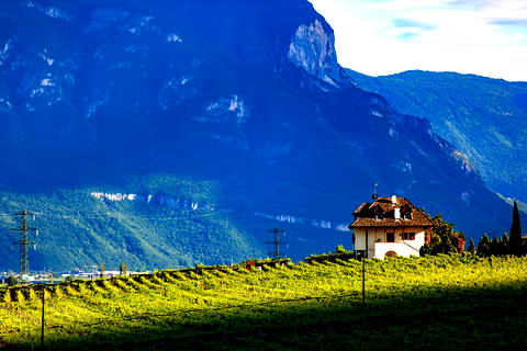 Bauernhofurlaub im Meraner Land