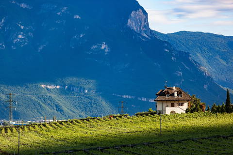 Bauernhofurlaub im Meraner Land