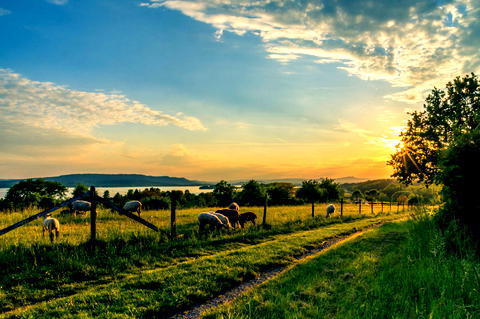 Bauernhofurlaub am Bodensee