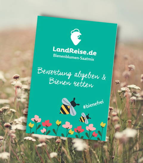 Die LandReise.de Wildblumenwiese - entstanden dank vieler Gäste-Bewertungen