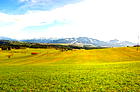 Ausschnitt der Allgäuer Landschaft.