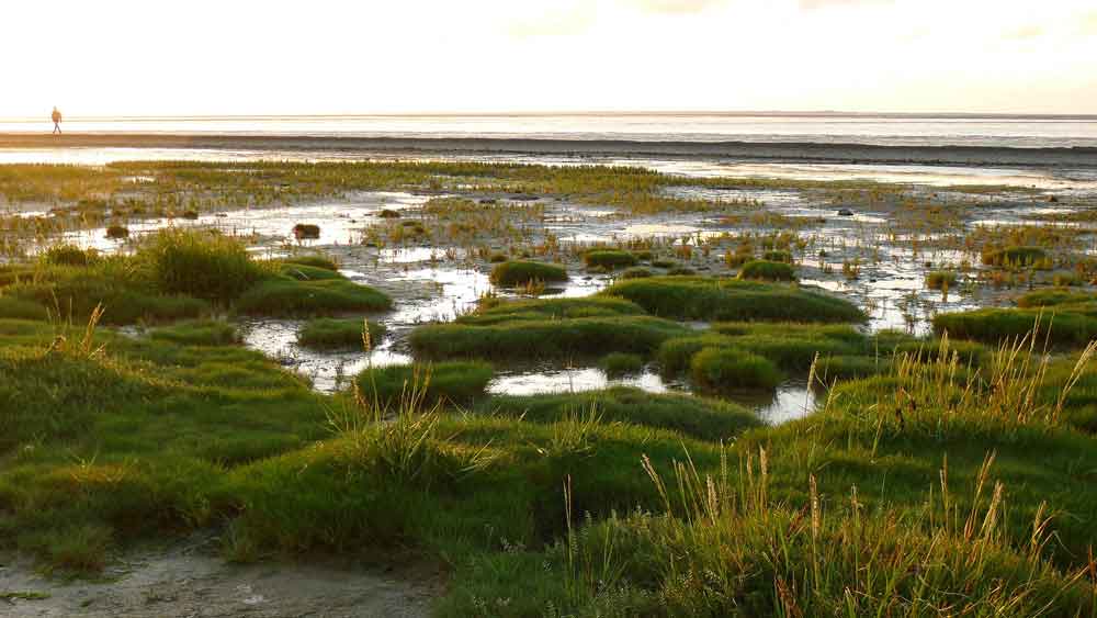 103 Traumunterkünfte Für Bauernhofurlaub An Der Nordsee