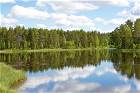 Die wunderbare Natur in Schweden