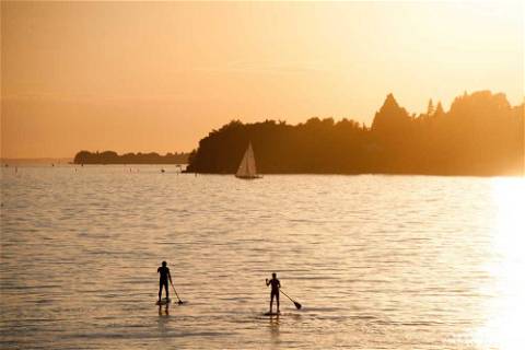 Stehpaddler am Bodensee