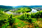 Bauernhofurlaub Mosel