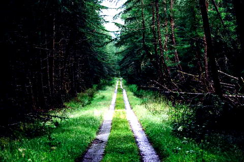Wandern im Schwarzwald